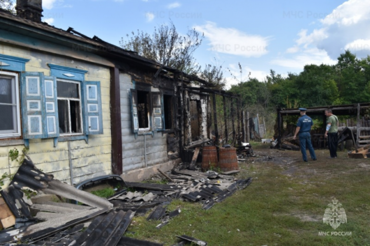    В селе под Воронежем работа пожарного датчика спасла многодетную семью