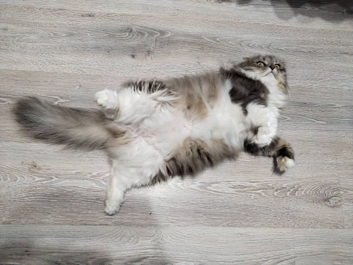 Мы совершенно ничё такого не делаем!