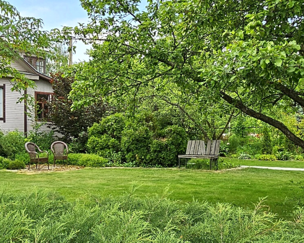 фото из сада Натальи Мягковой