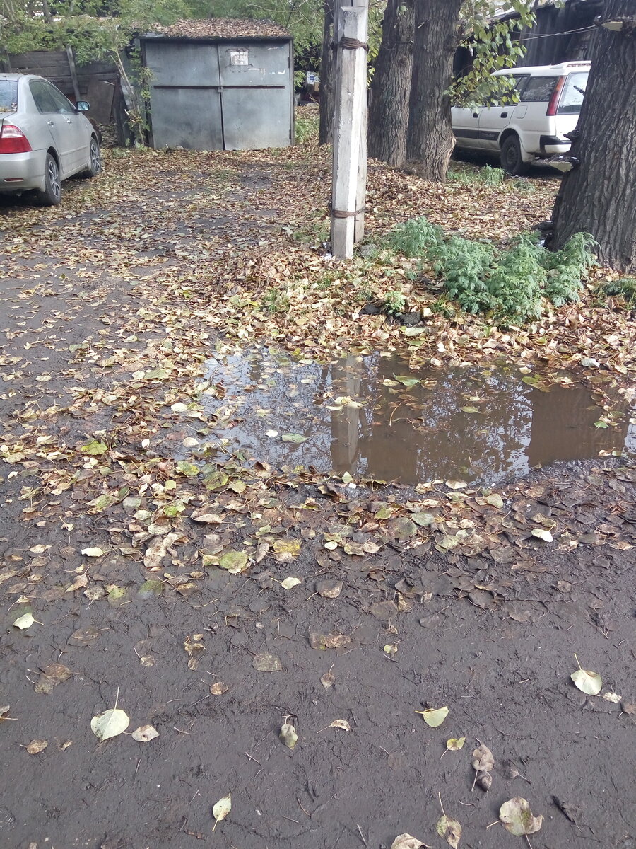 Под этой зловонной лужей выпускной колодец.