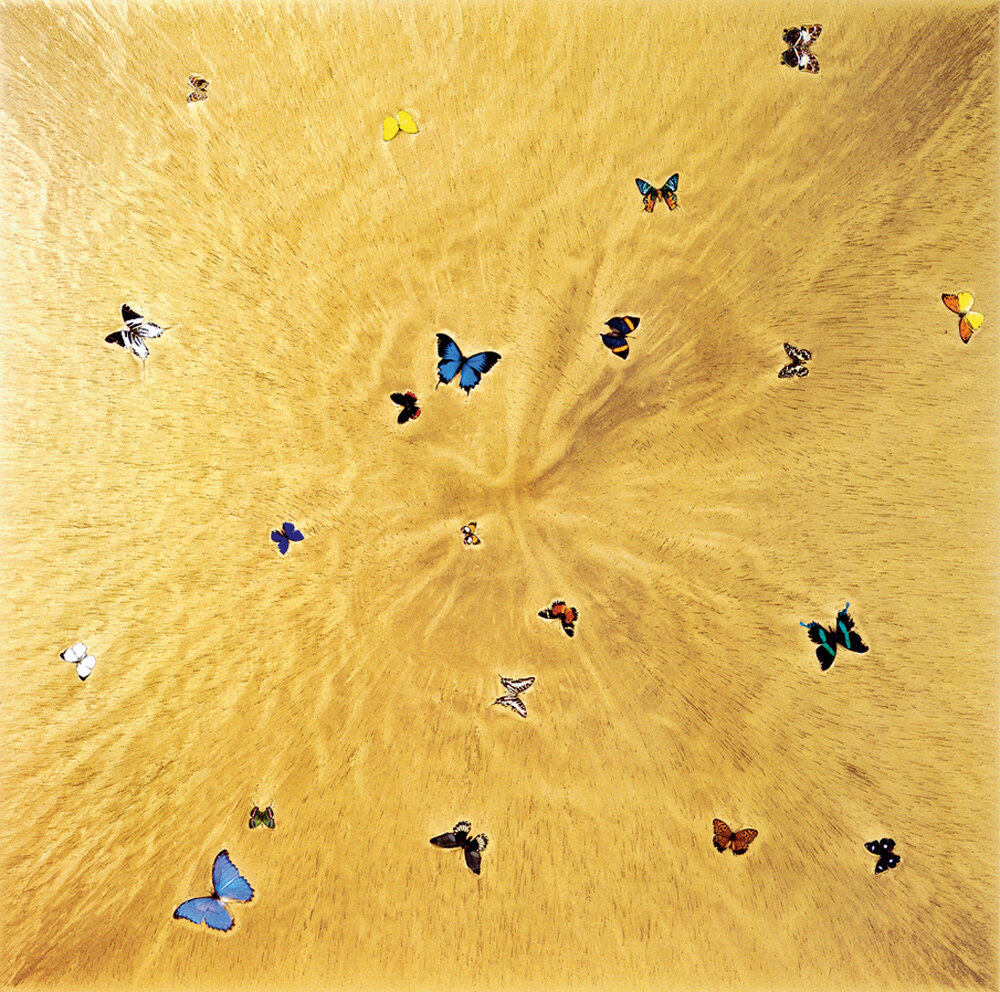 Дэмиен Хёрст.  Происхождение Мидаса, 2007 г.
