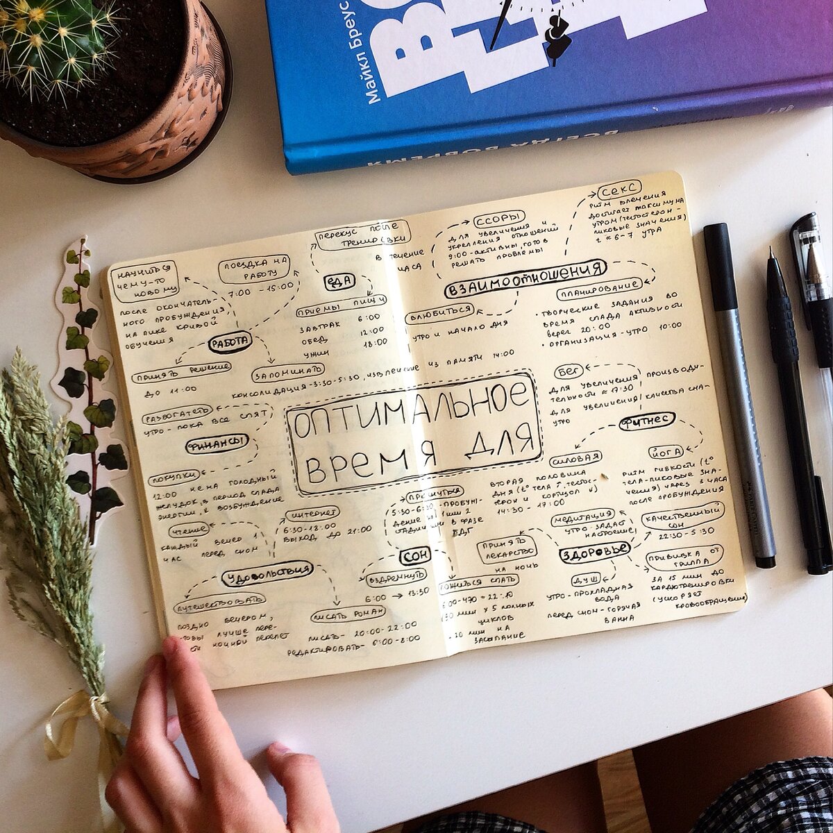 Источник фотографии https://www.instagram.com/tyu_nyuta/