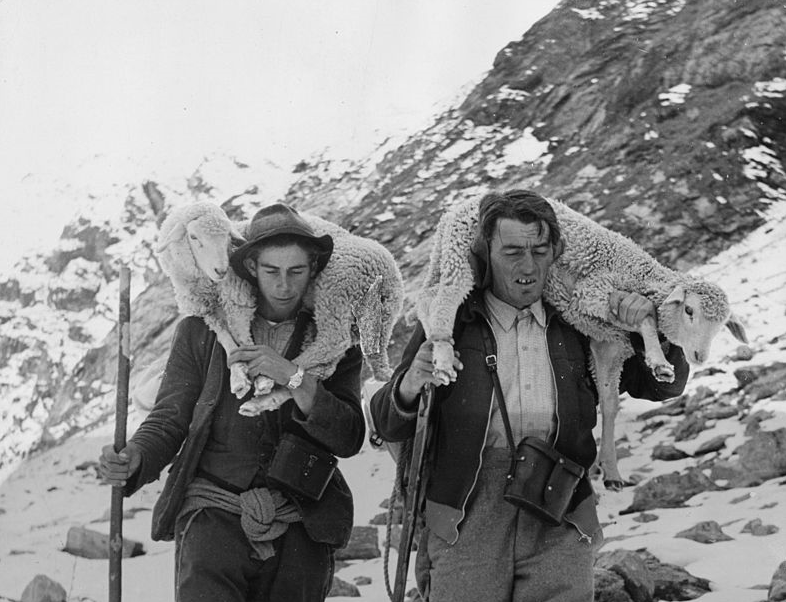 «Милая, я буду всю жизнь носить тебя на руках!». Швейцария, 1955 г.