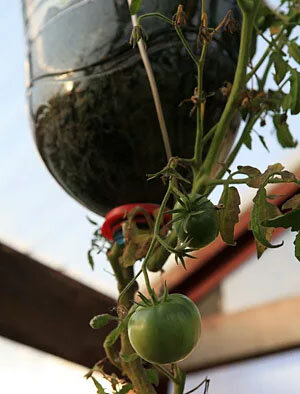 Яндекс.Картинки