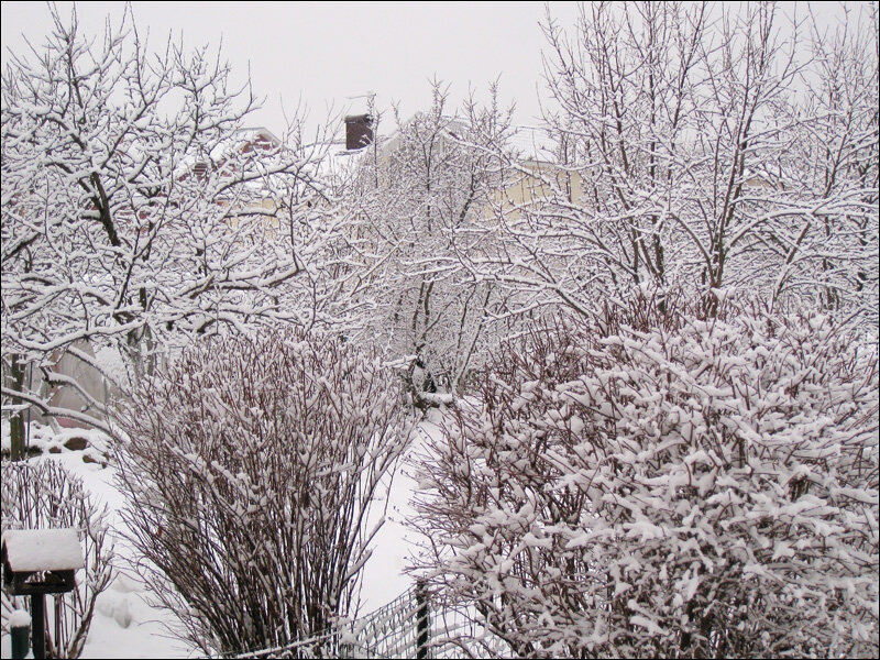 Каждое утро - потрясающий вид