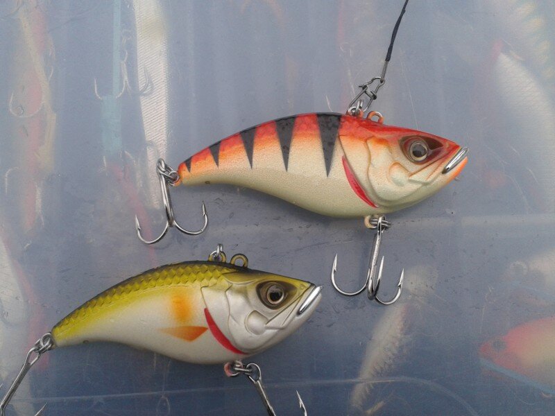 Раттлин для зимней рыбалки рыбалки. Ратлины на судака. Раттлин на окуня. Раттлин рапала для зимней рыбалки. Воблер jackson ратлин.