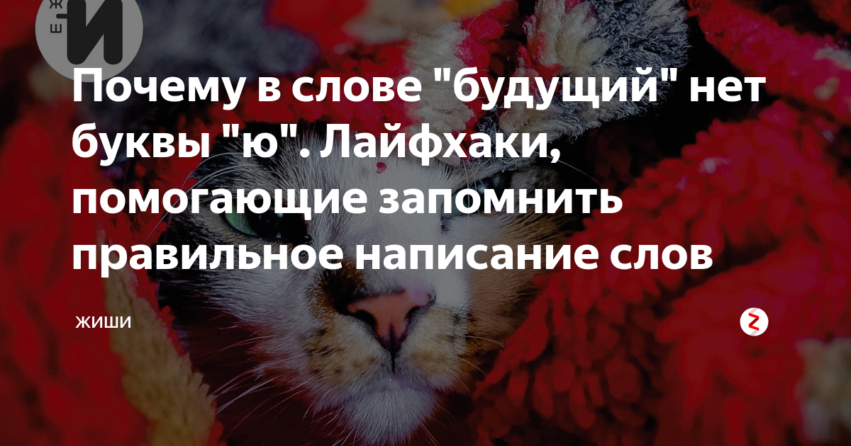 почему в слове сдать пишется буква с