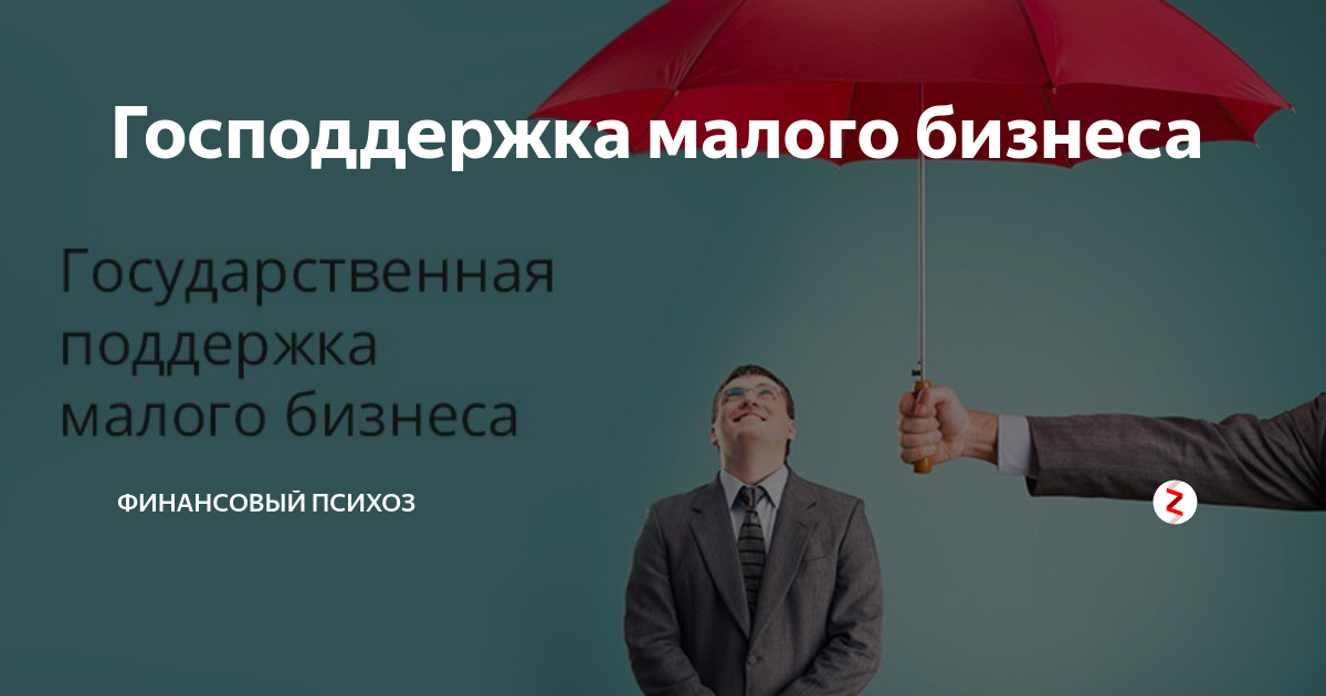 Господдержка малого предпринимательства. Государственная поддержка малого бизнеса картинки для презентации. Государственная поддержка малого бизнеса в Воронеже. Цели государственной поддержки малого бизнеса.