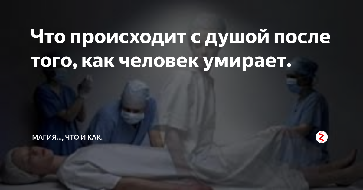 Что нас ждет ПОСЛЕ СМЕРТИ. Вы будете шокированы! Втренде Дзен