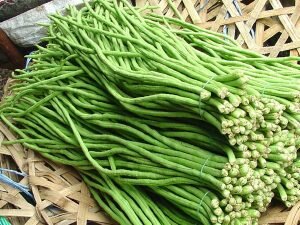 Наиболее предпочтительный вариант – посадка семян в закрытый грунт с целью получения рассады. Делать это нужно в апреле. Грунт должен быть легким и плодородным. В открытый грунт рассаду можно переносить в середине мая. Растение не любит холодов, поэтому торопиться с этим не следует. Для регионов с достаточно прохладным климатом наиболее предпочтителен вариант выращивания растения в теплице. Пересадку в грунт нужно делать очень осторожно. В частности, особое внимание уделите корневой системе – нужно не нарушить ее целостность.