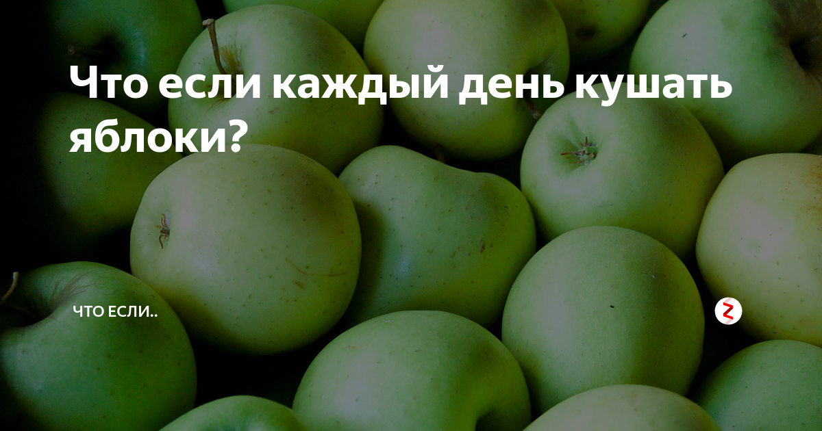 Ем яблоки каждый день. Полезно ли есть яблоки каждый день. Что если есть яблоки каждый день. Можно ли кушать яблоко каждый день. Что будет если каждый день есть яблоки.