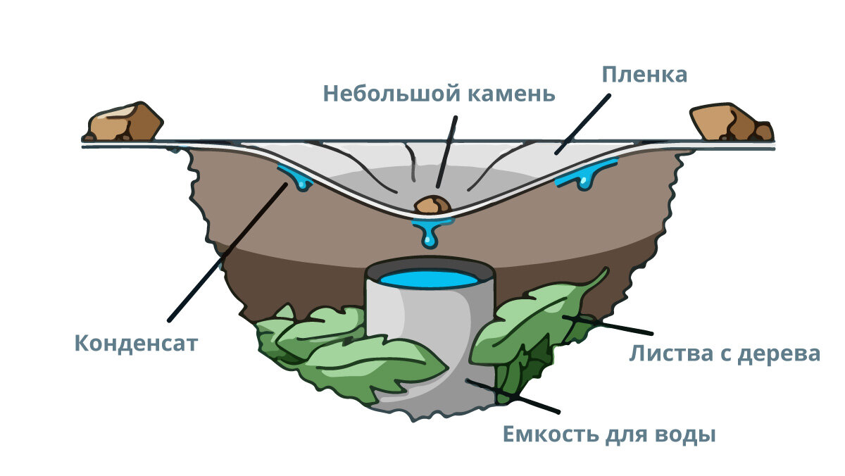 Получают из морской воды. Как добыть пресную воду в лесу. Добыча воды. Способы добычи воды. Добыча воды в лесу.