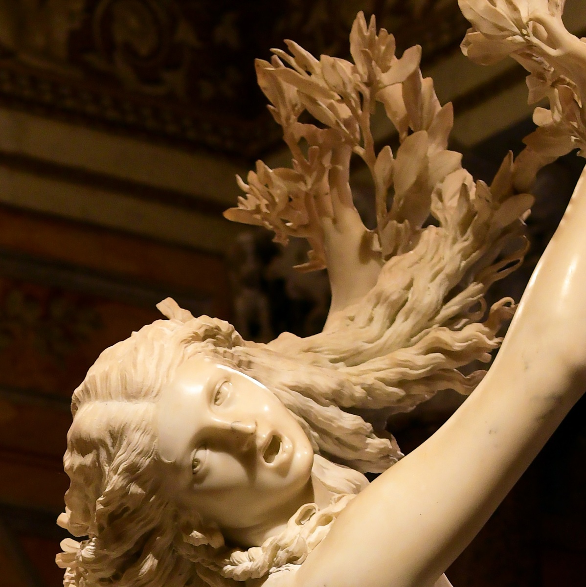 Дафна в скульптуре Бернини  