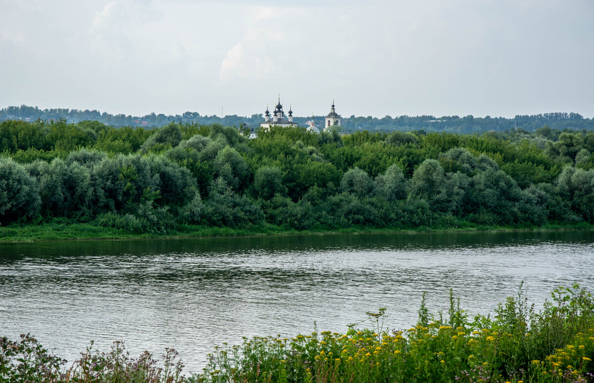 Противоположный берег реки