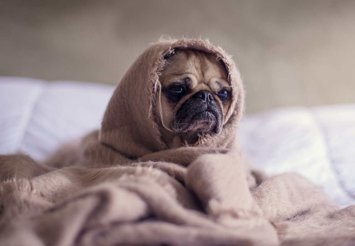 Фото Мэтью Генри на Unsplash