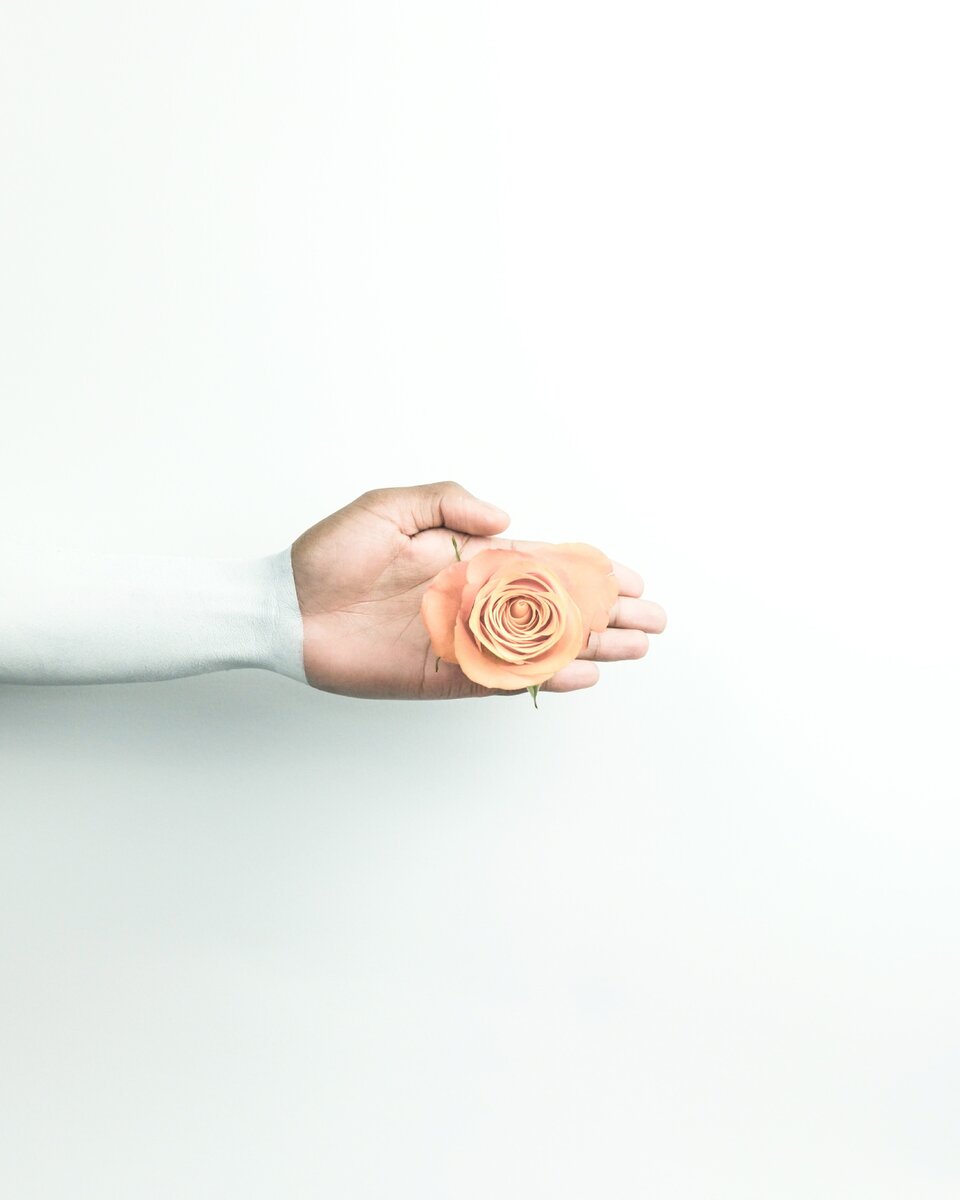 Photo by Imani Clovis on Unsplash 