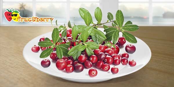 Благодаря органическим кислотам плод хорошо хранится и помогает консервировать другие продукты. Индейцы обваливали в ее соке куски мяса и хранили длительный срок
