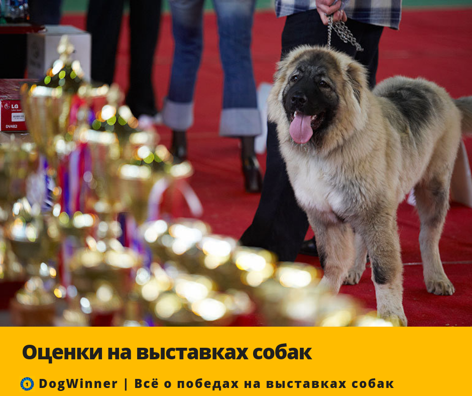 Фото: sputnik-georgia ru/video/20100524/213199196.html