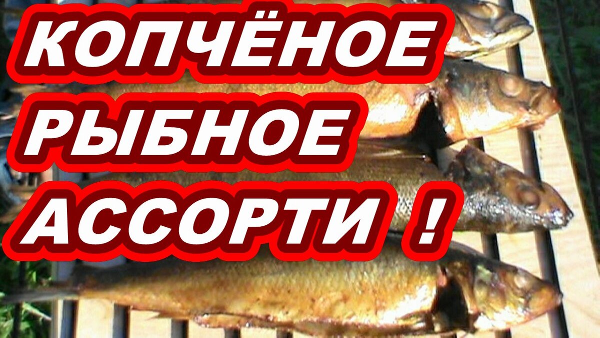 РЫБА ГОРЯЧЕГО КОПЧЕНИЯ ! 3 ВИДА РЫБЫ ! РЕЦЕПТ КОПЧЕНИЯ ! | СВОИМИ РУКАМИ  ЛЮБОЗНАТЕЛЬНЫЙ | Дзен