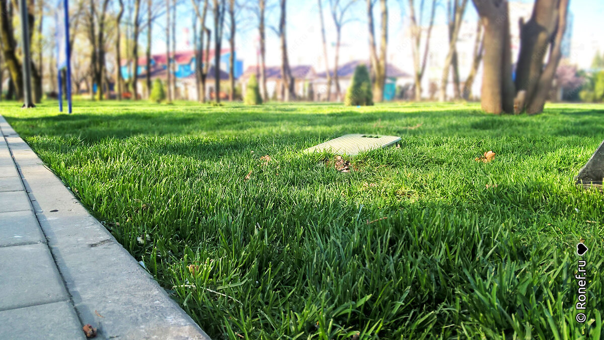 2018.04.08. Просто кусок тротуара далеко от центра города.