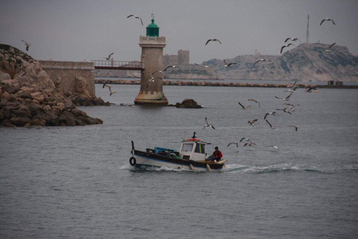 Суп придумали рыбаки, которым нужно было куда-то девать нераспроданную рыбу