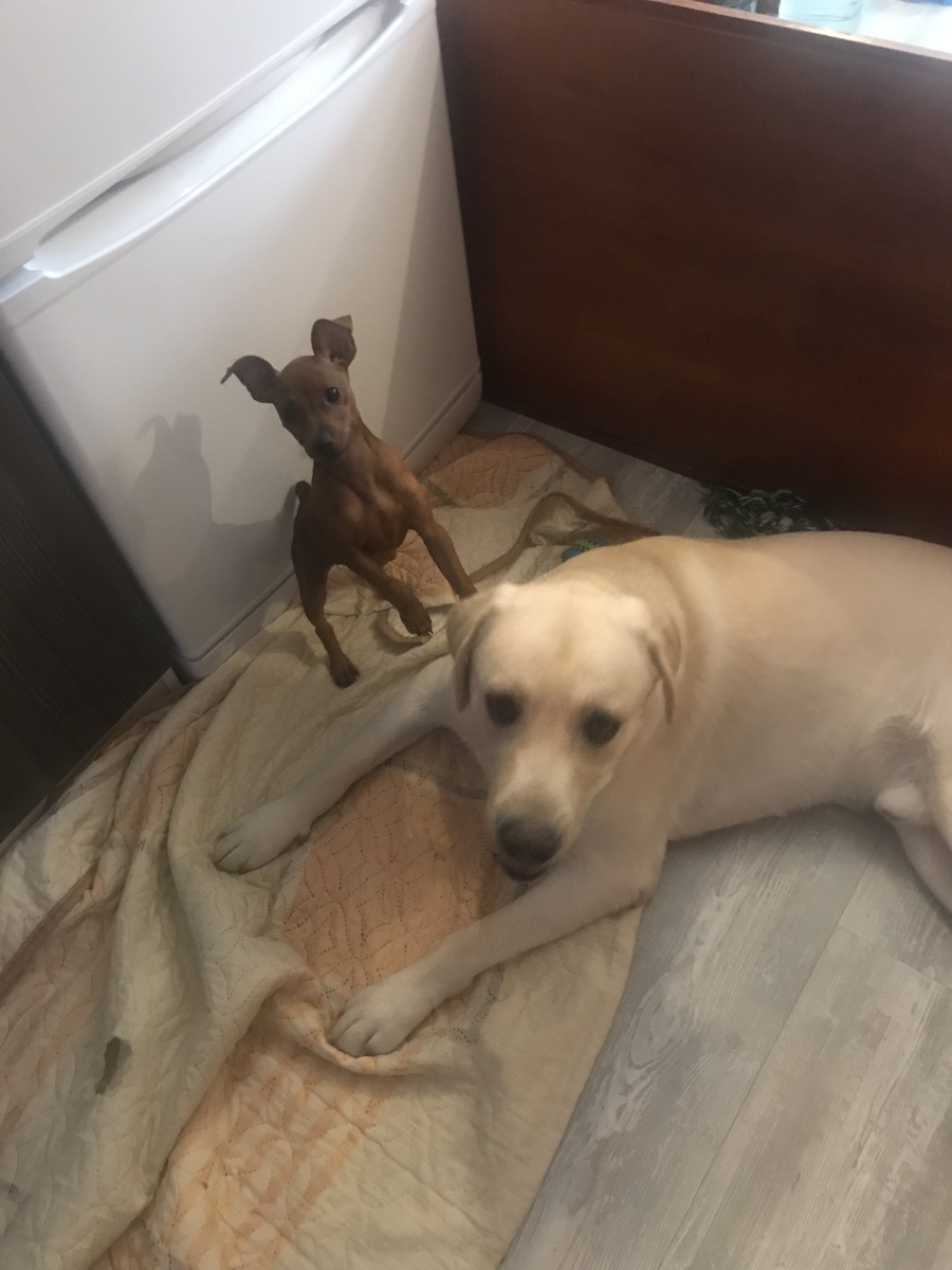 Вот она разница