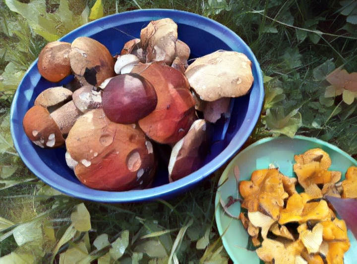 Вот сколько набрала!