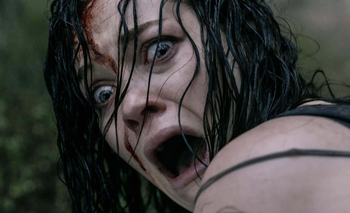 Мама дорогая что будет, что будет!