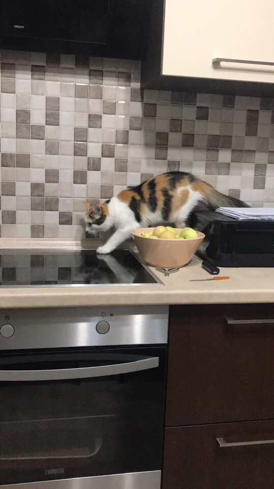 Проникновение на стол совершенно успешно. 