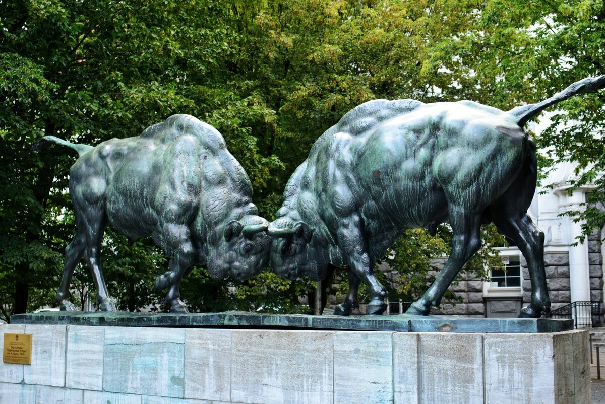 Борющиеся зубры — визитная карточка города