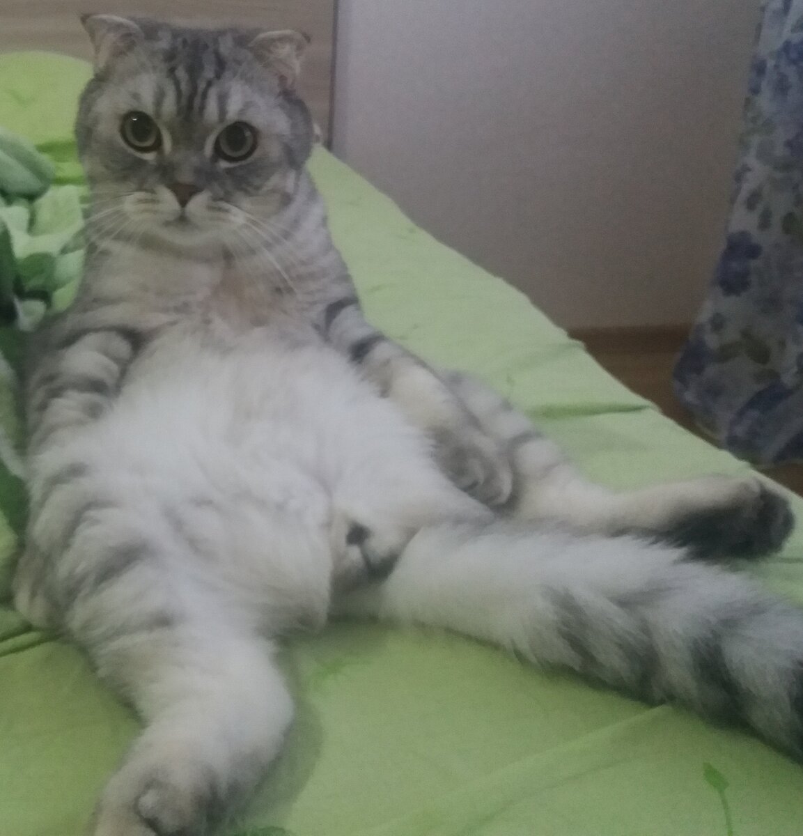 Фото из личного архива