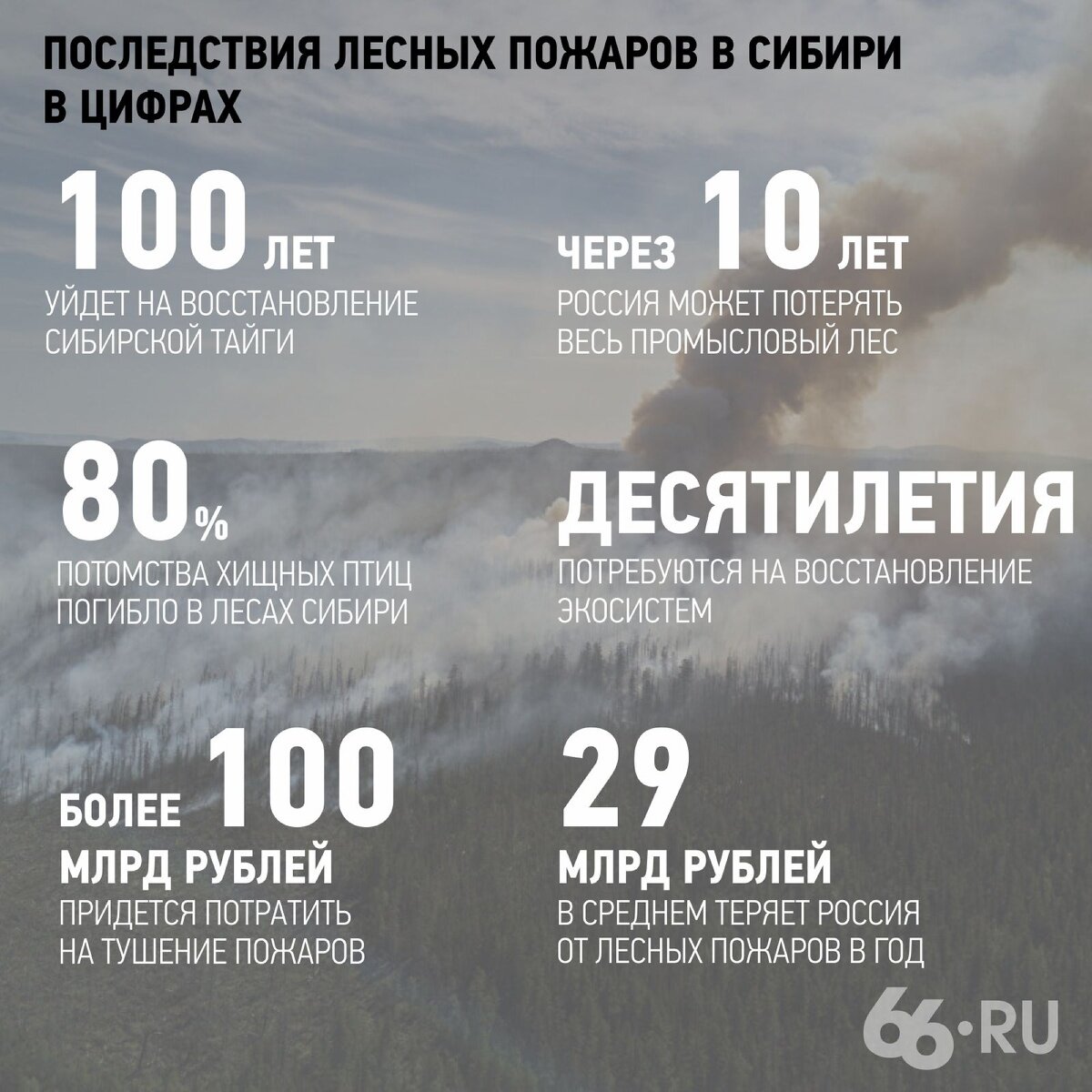 Изображение с портала 66.ru