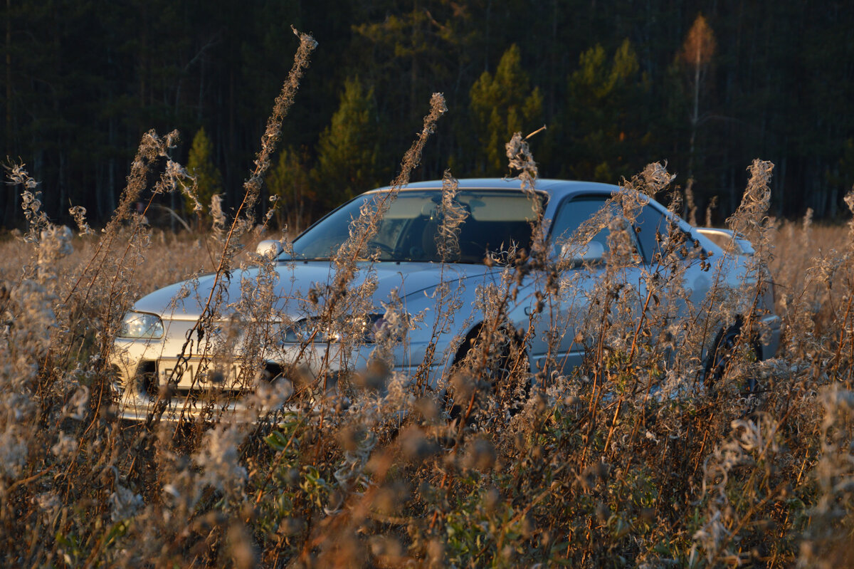 Фото из открытых источников