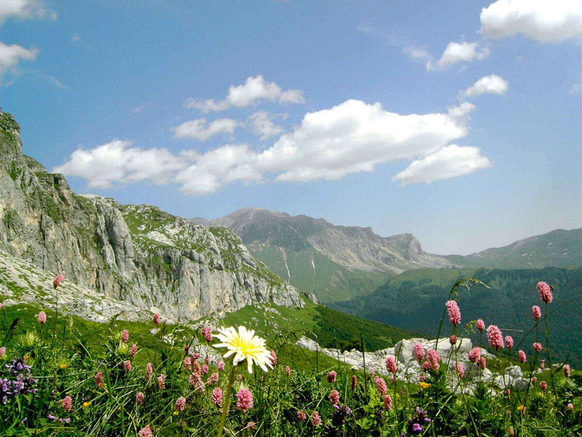 А в горе кавказ. Горы Уральские крымские кавказские. Крымские горы Северный Кавказ. Доброе утро природа Кавказа. Утро доброе с Кавказа в горах Кавказа.