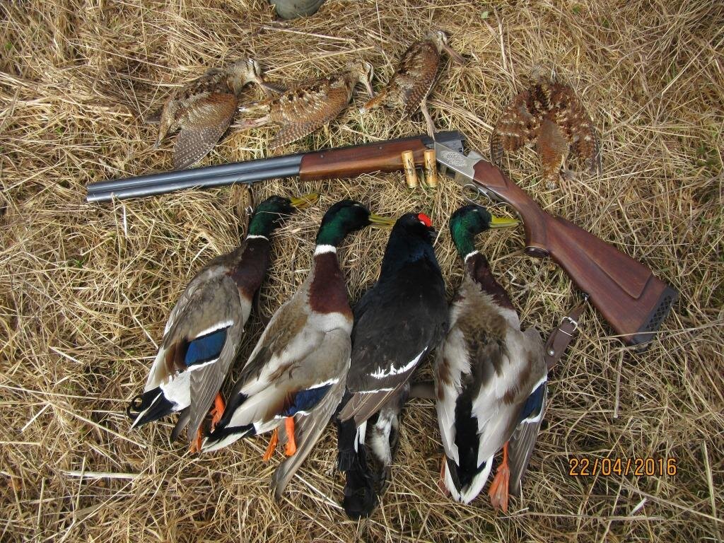 источник - яндекс картинки