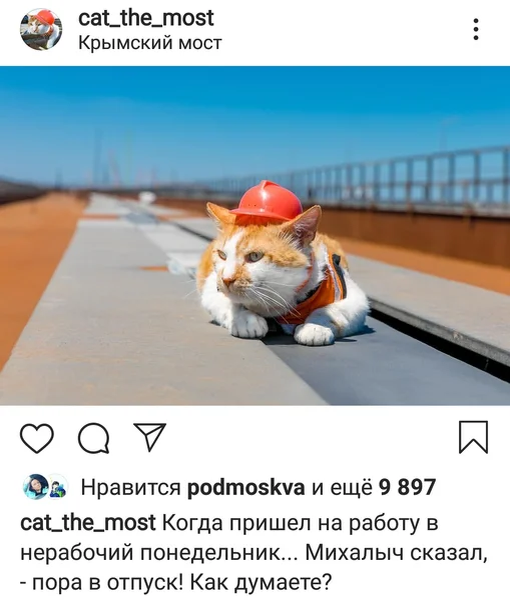 (изображение из свободного доступа сети Интернет)