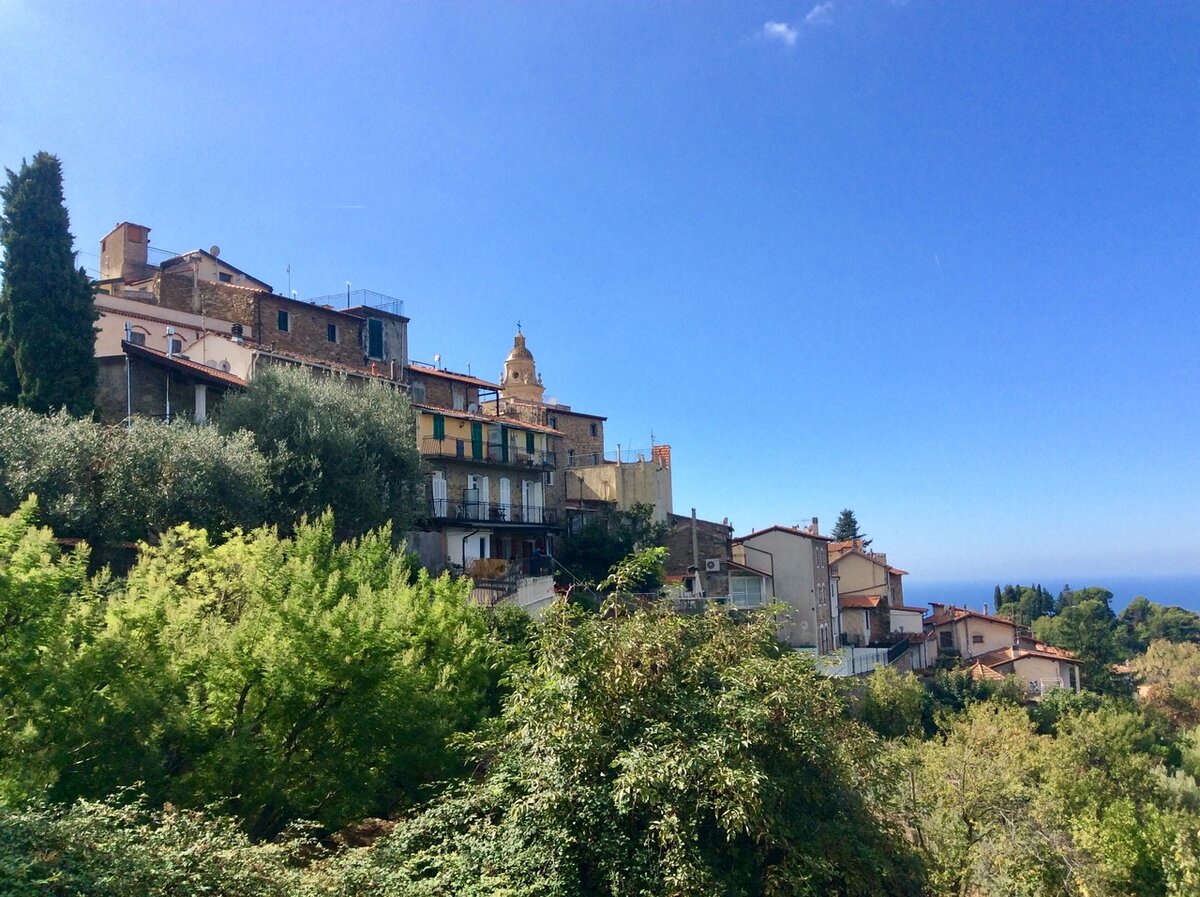 Панорама Себорги.