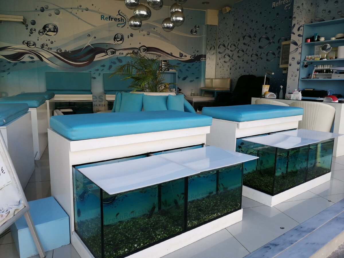 Фиш-спа в Сталиде (Крит). Фото Света Давыдова