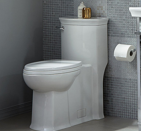 А бывает, что и бачок отсутствует (https://сантехника-24.рф)