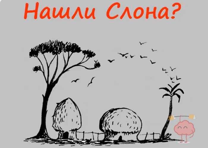 Найди слона на картинке