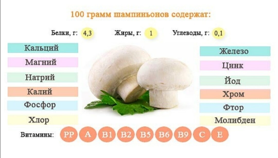 Кбжу шампиньонов тушеных. Грибы шампиньоны пищевая ценность. Грибы шампиньоны состав и калорийность. Грибы шампиньоны БЖУ на 100.