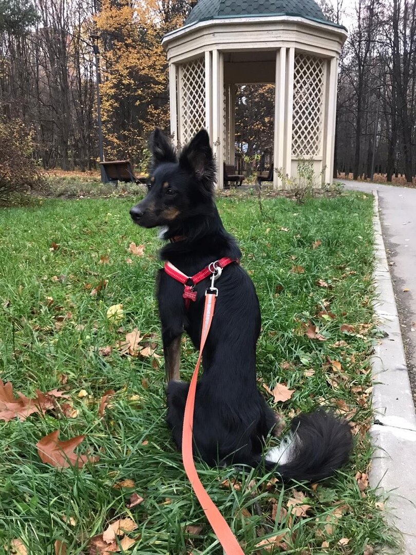 Ника - выпускница Банды Дворян