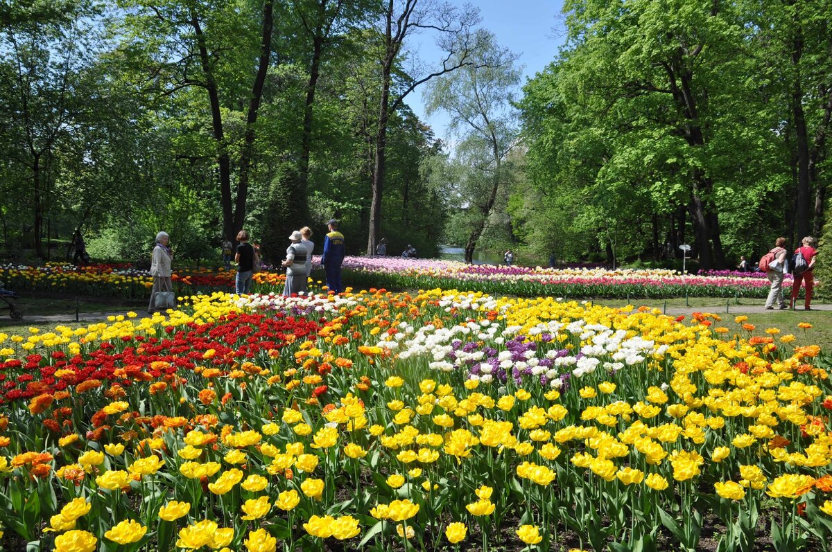 Фото Флеровой Елены