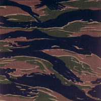 Фото:Назначение: Лес, болотистая местность
Кто обычно носит:Часто видел, особенно «Серый» (городской) вариант у ОМОНовцев.
Примечание: В общем, ничего хорошего не предвещает и носить не советую. Особенно серый.