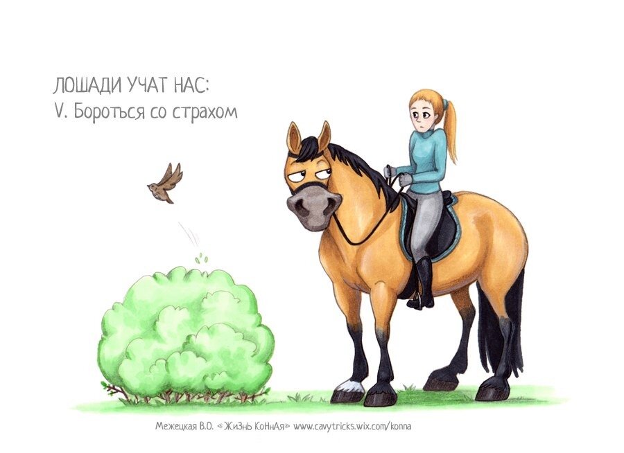 Там на нас алабай бежит? И что? 