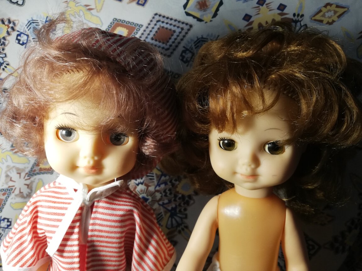 Портрет двух Лен