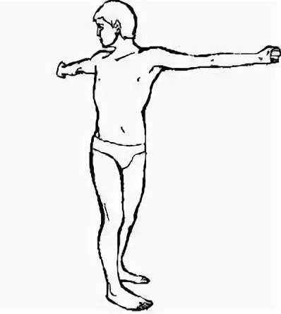 4 упражнения гимнастики для улучшения кровообращения мозга и развития подвижности шейного и поясничного отдела…