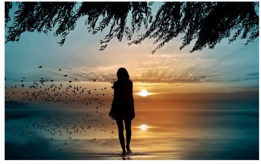 Фото взято из открытых источников