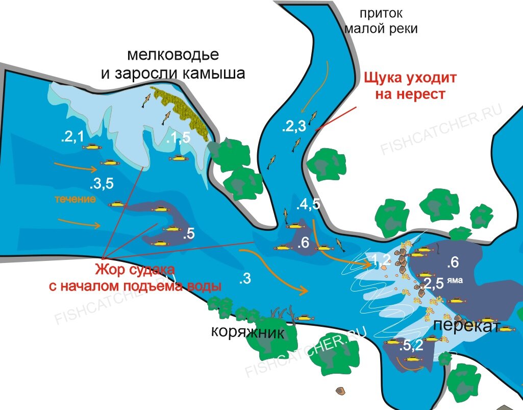 Когда можно рыбачить весной 2024