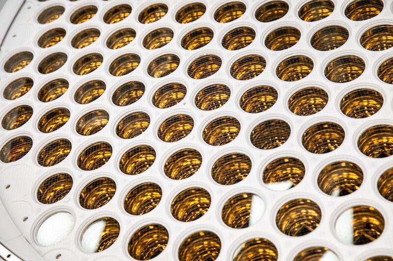 Матричные фотоэлектронные умножители LUX-ZEPLIN
Мэтт Капуст / SURF